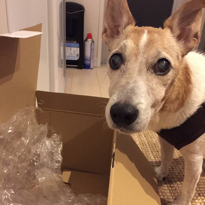 58191b6b d9c3 453a a5ca ceb83a684c17