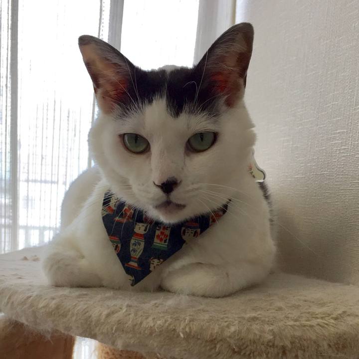 58196e37 45db 43b3 8a43 75c91308f25f