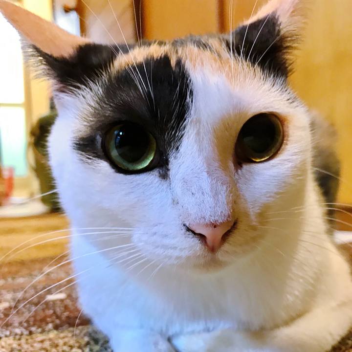 5819dc72 656b 4b10 9f5f b0a05f8edf3e