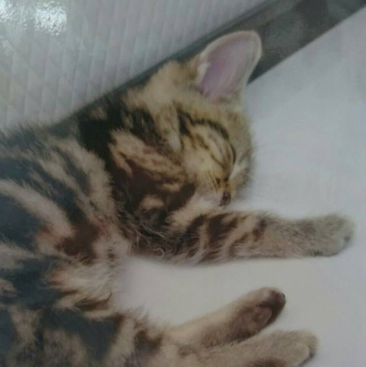 581a6c89 13db 4a05 a1e9 173c03f1ef44