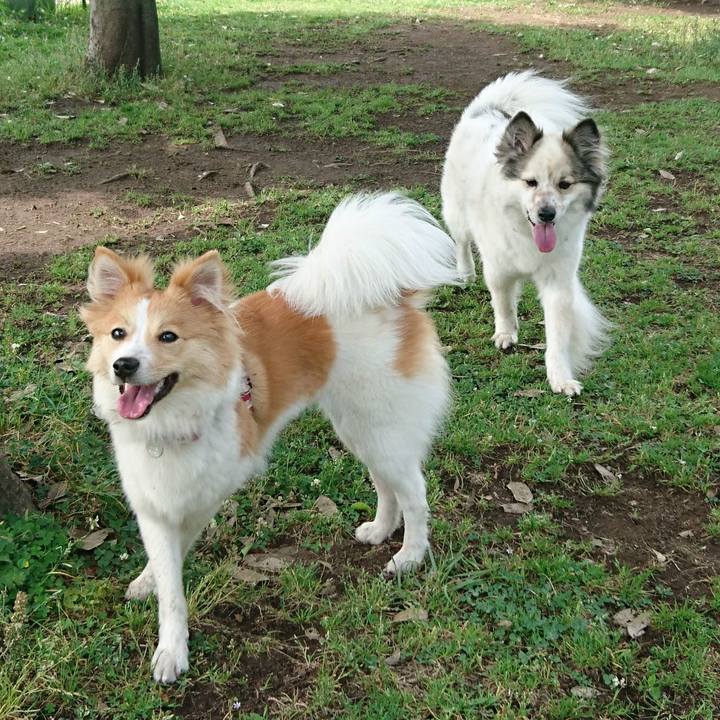 581ad27a 1915 4b3b a04b e43d34d0a3c8