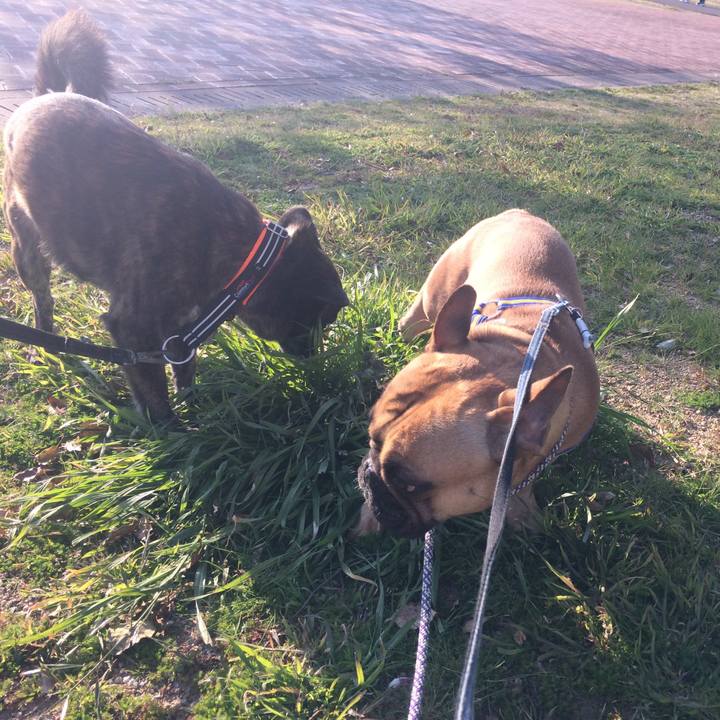 581aeaed 23e5 469e 98d2 850a4874c197