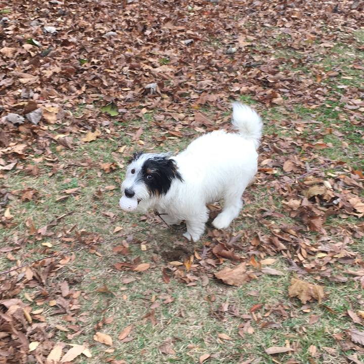 581c1b0b 9db0 4a3b bb2c 482f75adb996