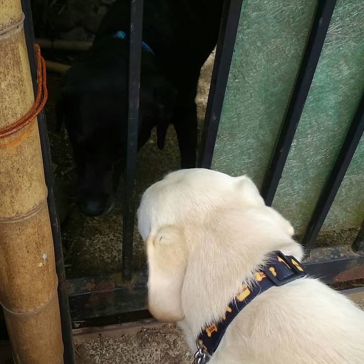 581c5acd d0a9 4079 8a55 f7b9af76a589