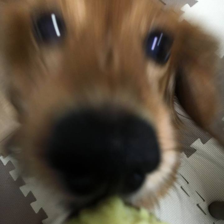 581d2d75 3c28 4f62 aff3 31eccb24eff4