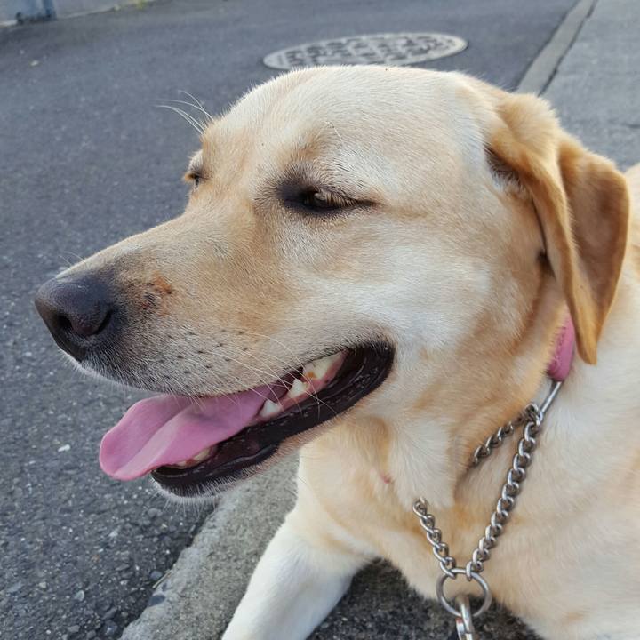 581efe51 ceb8 48b4 a821 37461b9a1e0d