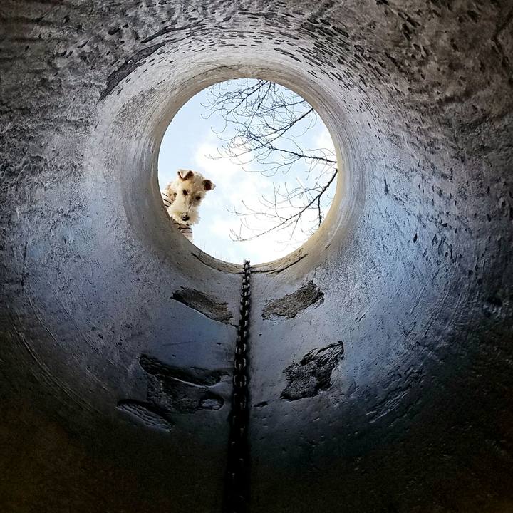 581f2139 3df2 4f09 b633 658d5c29a6f7