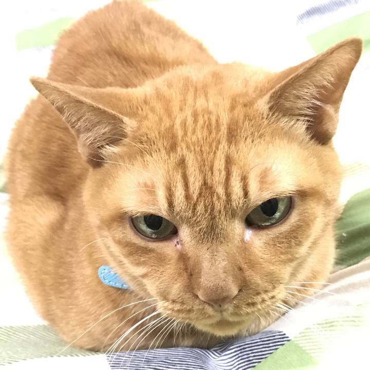 581f52bd a03a 4393 b8ee d4d777a30849