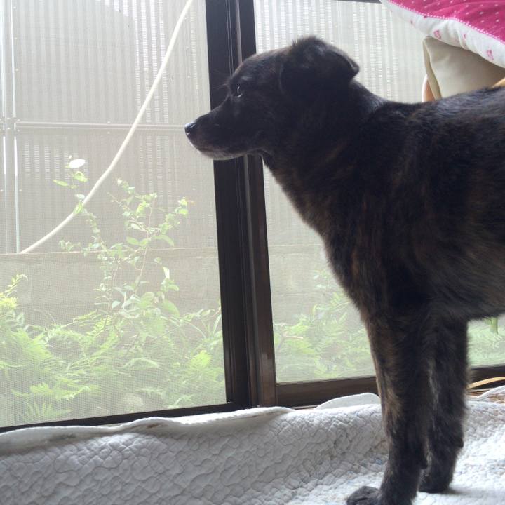 581f7567 139b 4bf0 a706 5875be1ce2a4