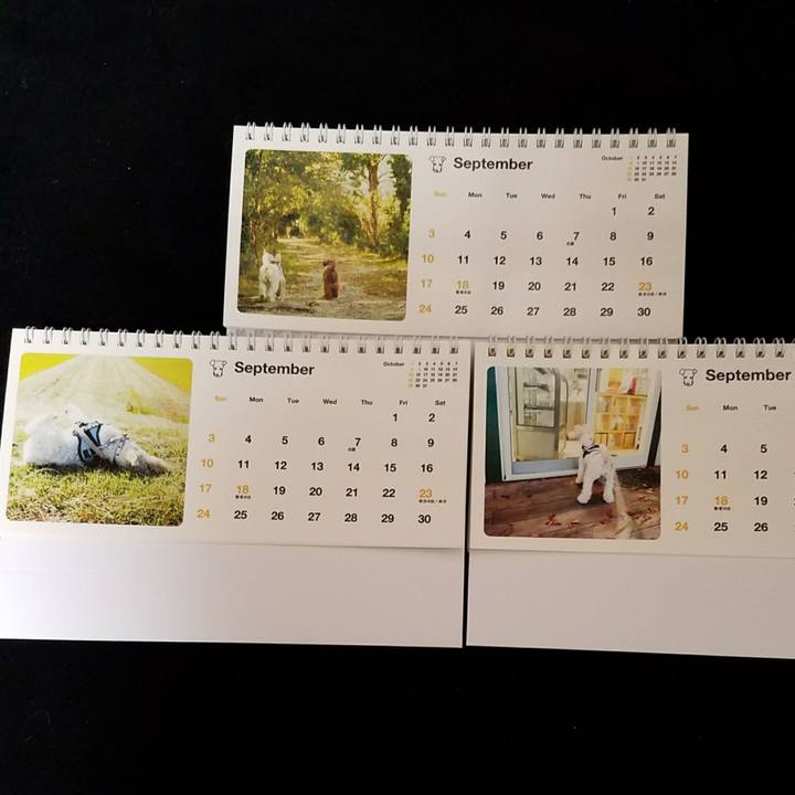 581fcdf5 d0c5 4a4b 97bb c41afa215a66