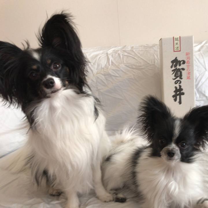 582049f6 23a7 4daa 9135 53ad4978d6be