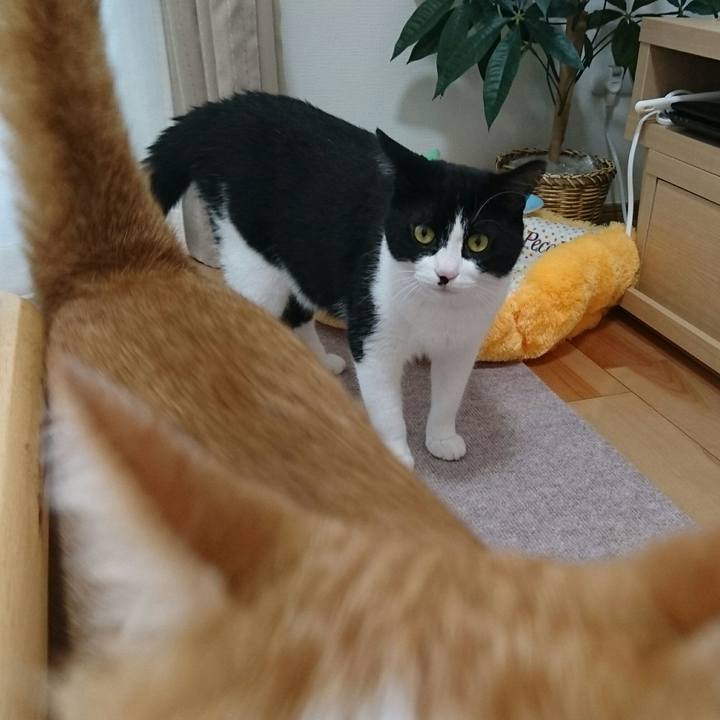 58206a11 0c5b 4652 97e8 5b9dc0bd4e6e