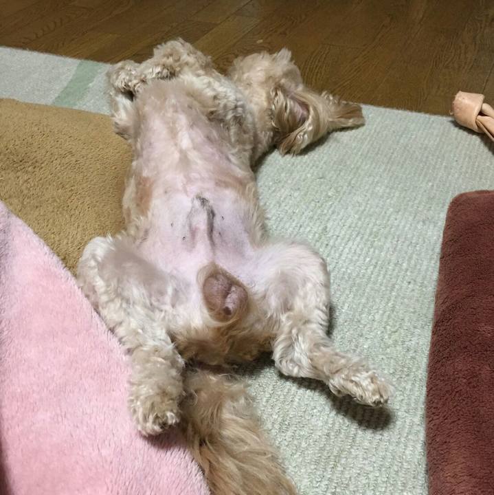 5820c840 fe39 4a06 9da3 c180024a98dd