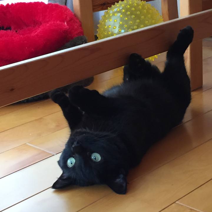 5820ef35 a164 4c03 8407 899ac6ca18b4