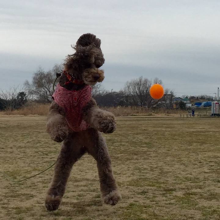 5821557b 3522 434e b1f8 59ff2077f03d