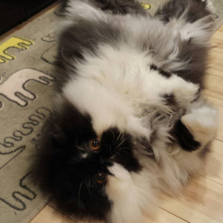 5821ef21 f6a5 4b38 b7f5 d477f7a6238a