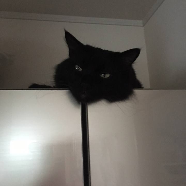 58235ed2 fbe9 4d94 a7ab bb417018aafb