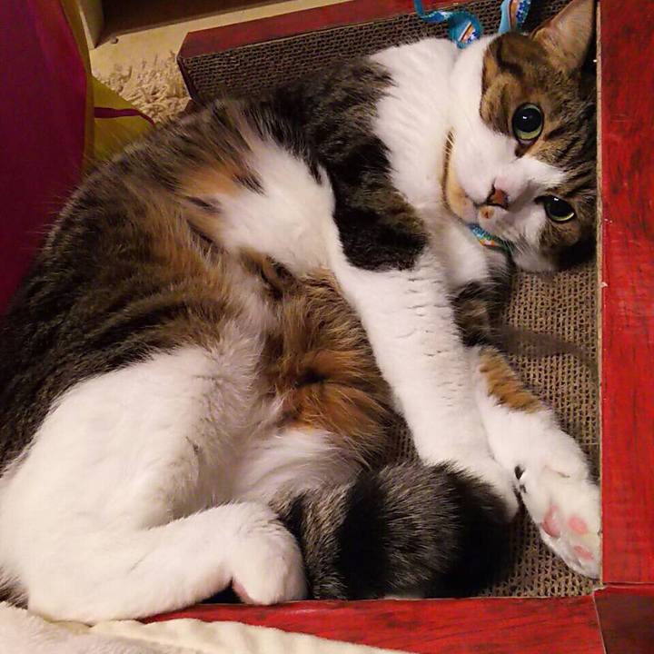 5823aaf6 2015 433a 8d2b 17a863bc32c9