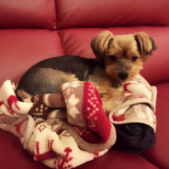 5823d6d3 f363 468d a4e5 f7dde5f21e6a