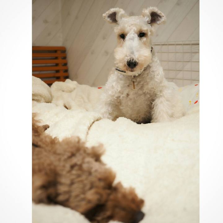 58251405 5cd6 4ad9 85c8 9df008662295