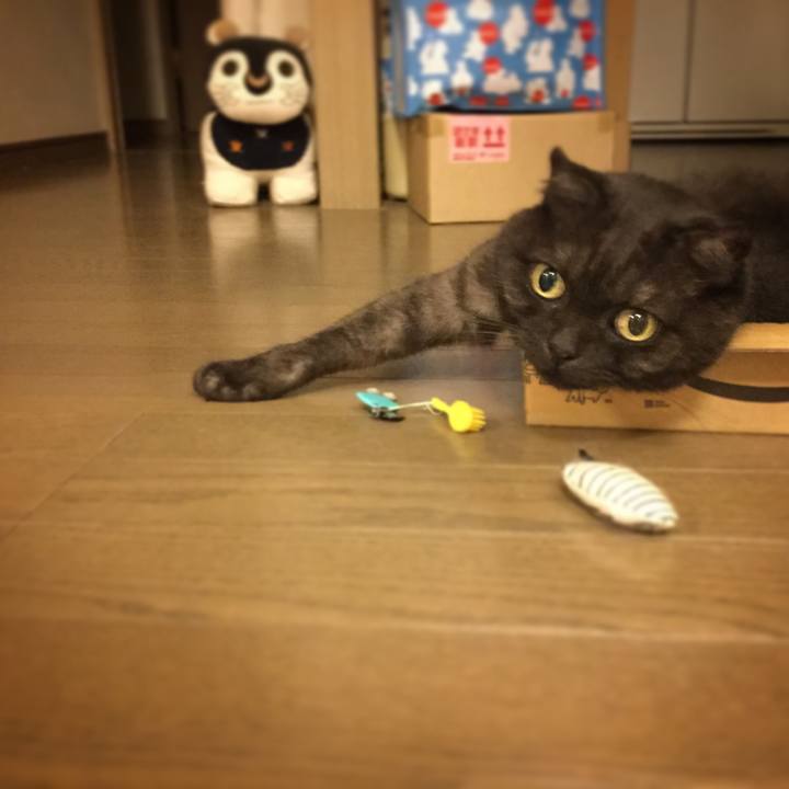 58252cda 0da0 4865 bec2 57617c8f0af6