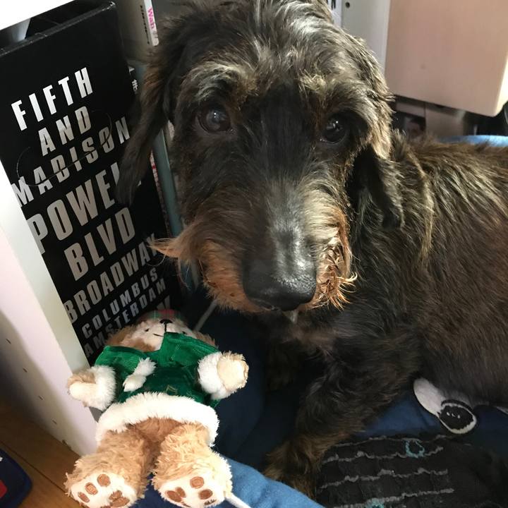 58254a59 e77c 4c95 9255 ad9266fd7138