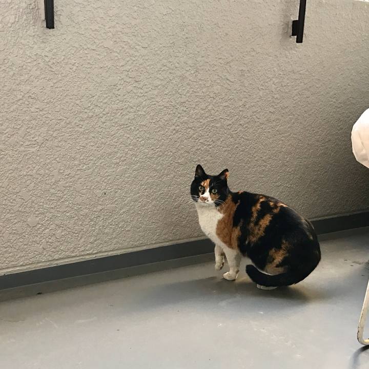 582569a1 487b 4321 add7 70f85064a7f0