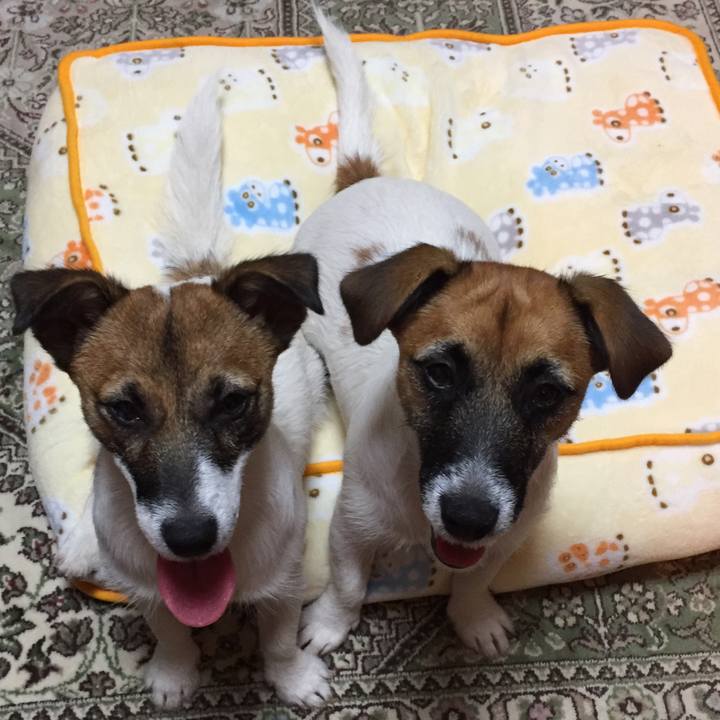 5826b135 8dfd 4efd a3a1 b89f5d13a431