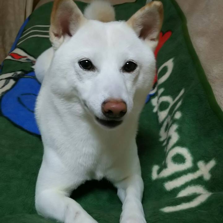 5826d6b3 8f88 48b7 b4e6 b578796fd95a