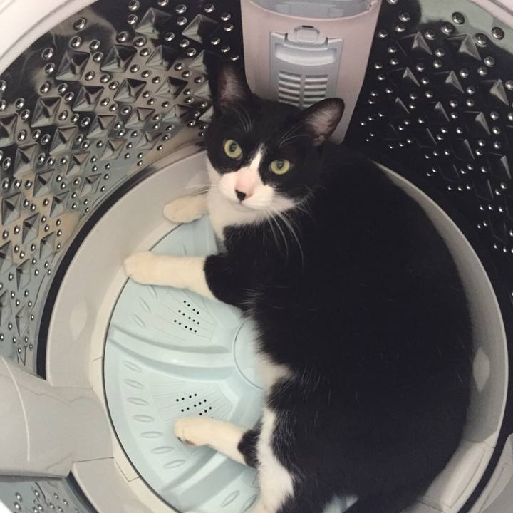 58272ad5 914d 4fb4 8fde b5171705c7bf