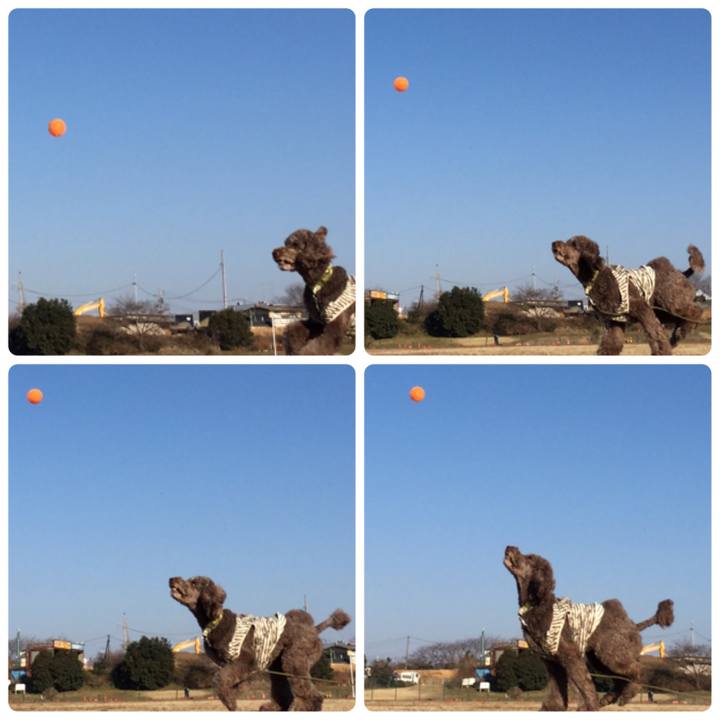 5827c511 cfc6 43ee 8e2b 0aaadb239788