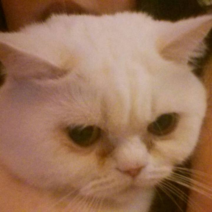 5827f4c6 6bcd 4dac 93ab a184e500f3e3