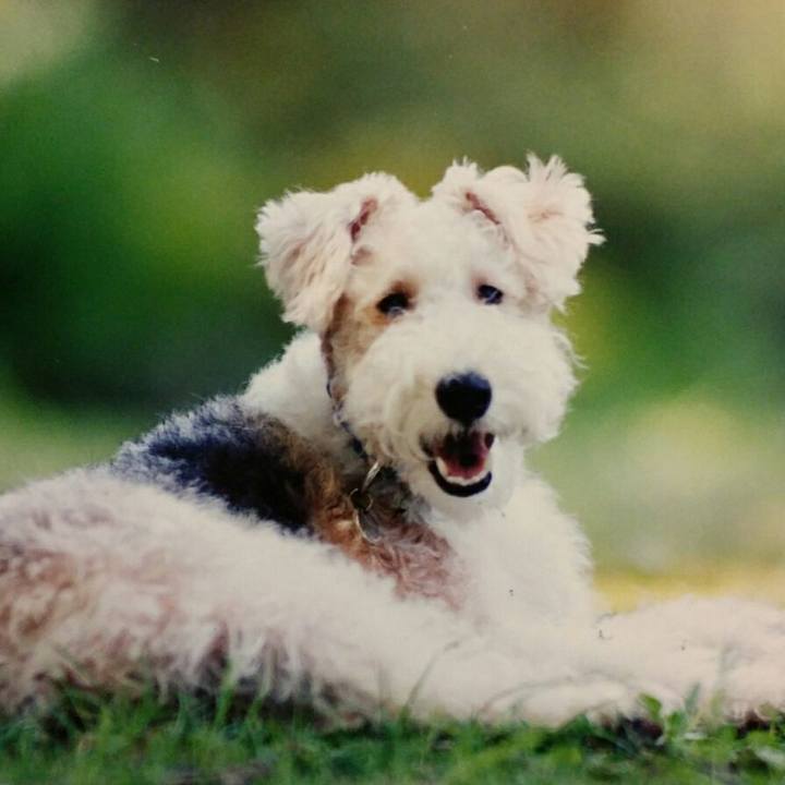 58284f9e c9b8 4c8a 9085 0a38765ebcf3