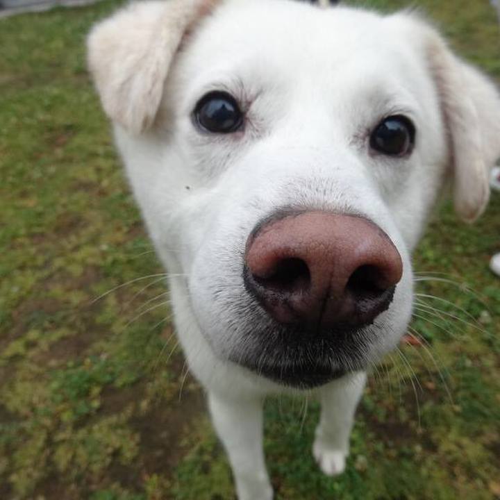 58285327 eca4 46dd ae6c d12779281467