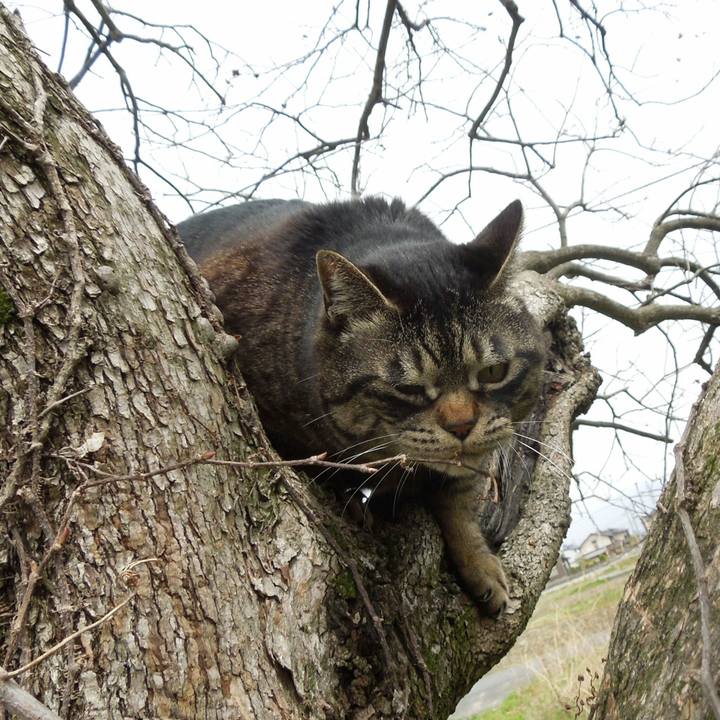 5828b252 1313 4fc3 895e 53f3b2bb8ce4