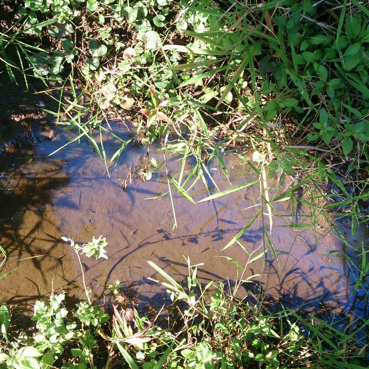 582a5c9d 3bd6 4e3a aadc d5fdcc71b6ae