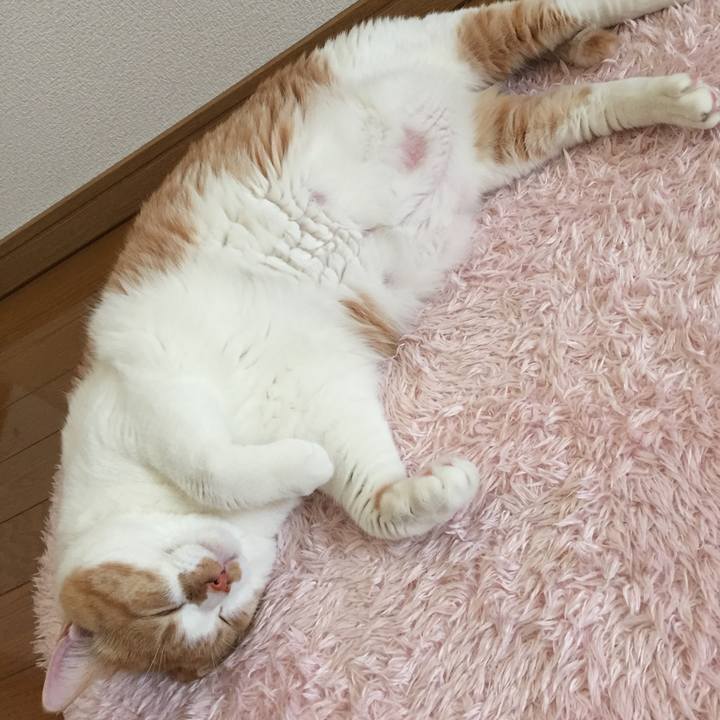 582a7483 6bf0 4a9b 8b32 8bef91de7a8a