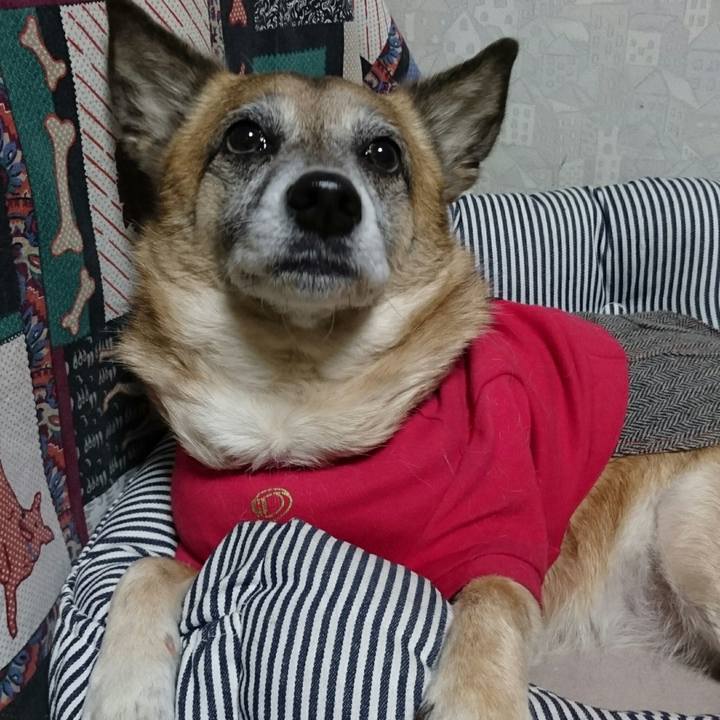 582a81e9 db80 4401 b23c 80ed36d0c548