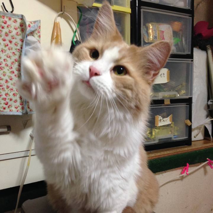 582b09d3 d90b 4be4 8b35 240aca08aa8c