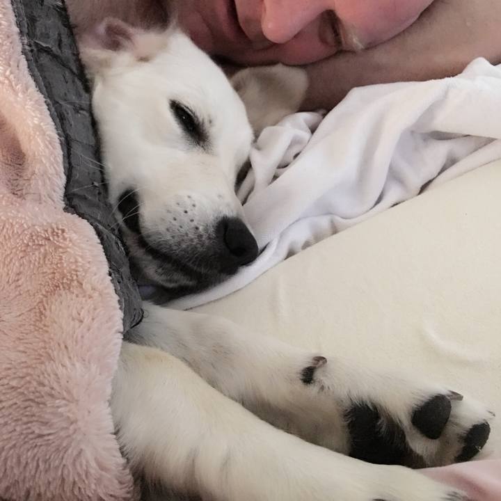 582b5171 64b6 4233 8415 ba810fae5e19