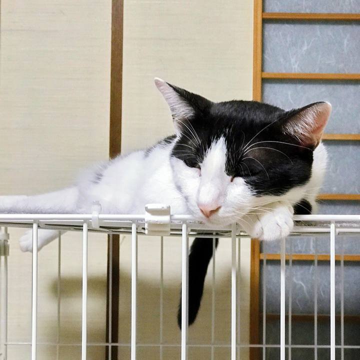 582bf50d 66a9 4737 8ddf 83469a33e8bc