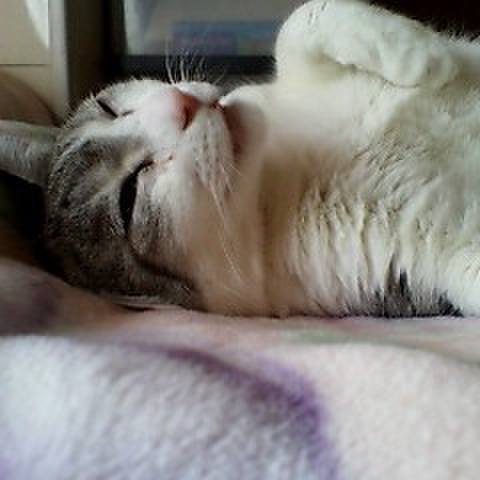 582c0995 4c8a 4aba 999b 85a1850e37b3