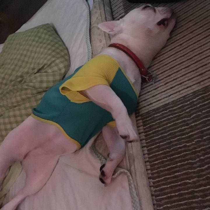 582c68ef dda1 4275 9997 1f2cd4a8d67e