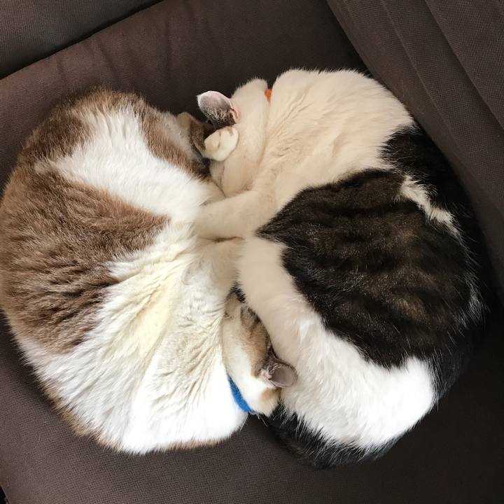 582e20e8 892e 40d8 97ad 242ed8ef70f7