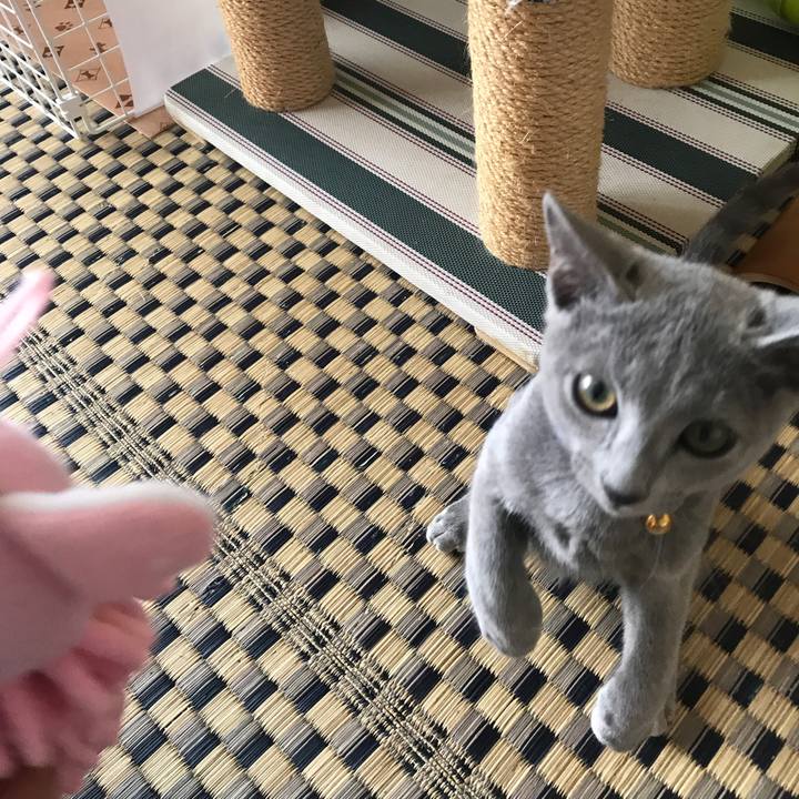 582e69c0 f4b7 4c10 aa4f cfce394678f2