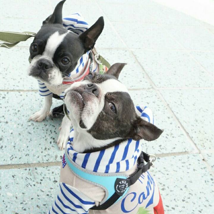 582e7df8 7a3a 4890 be29 71cc3c618d43