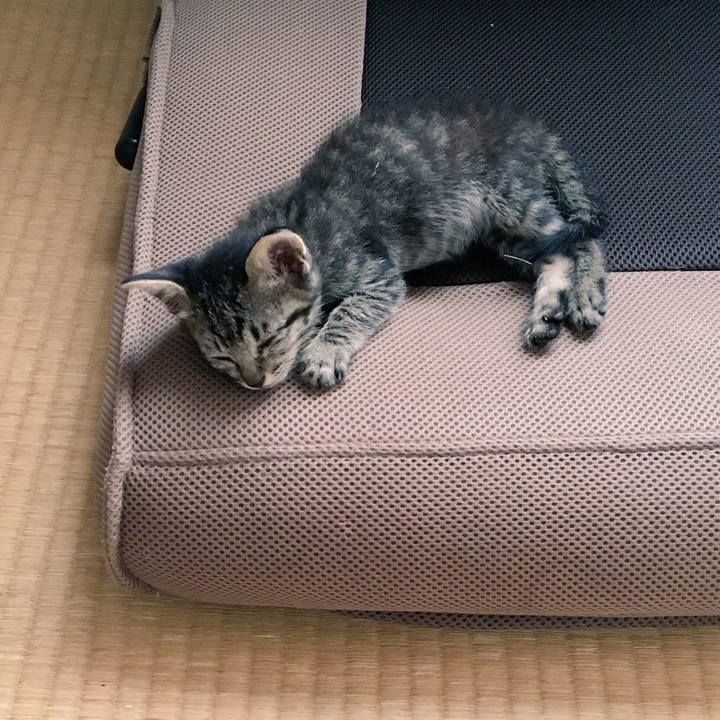 582eba15 0510 40b5 919d 151514a10e3a