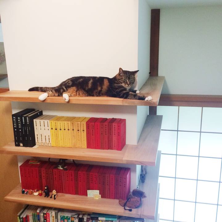 582ef249 ac89 4693 8e11 e85d2247a39b