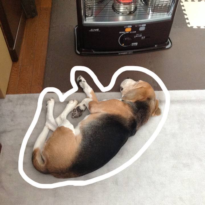 582ef70a 797e 4c48 9bf5 4ab6e3446be1