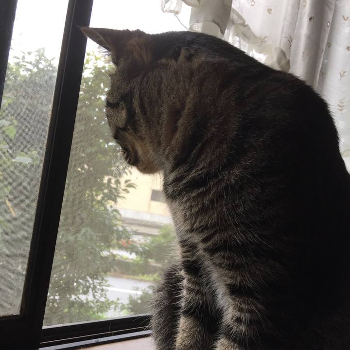 583005c4 44ea 4d91 8f01 c7e617a762f9